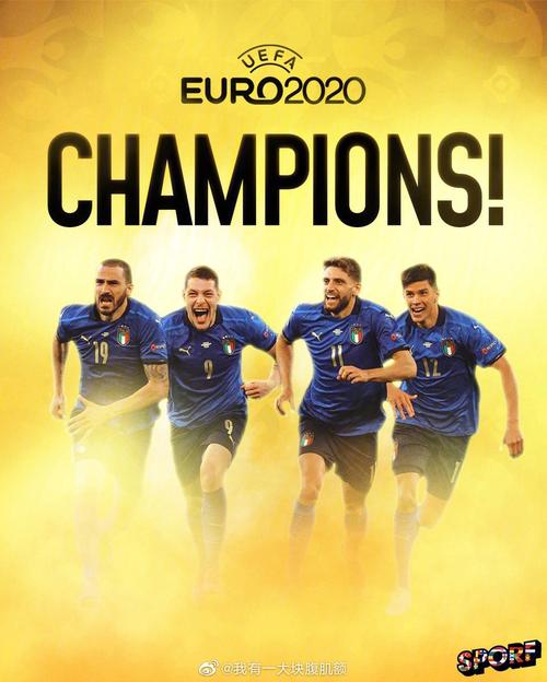 2016欧洲杯冠军意大利（2016欧洲杯意大利名次）